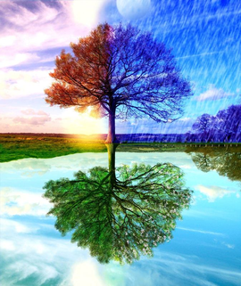 Времена года