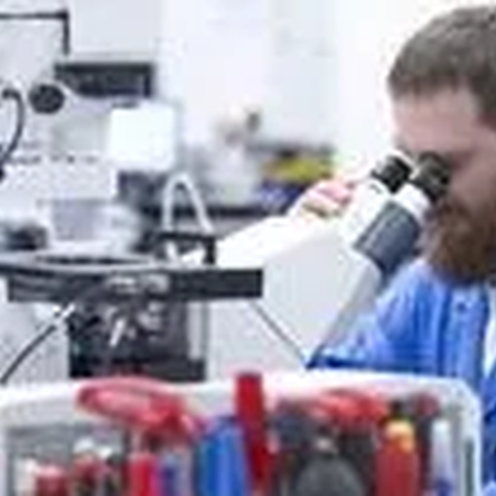 На острове Русском стартует международная «Ледовая школа» для молодых исследователей Арктики